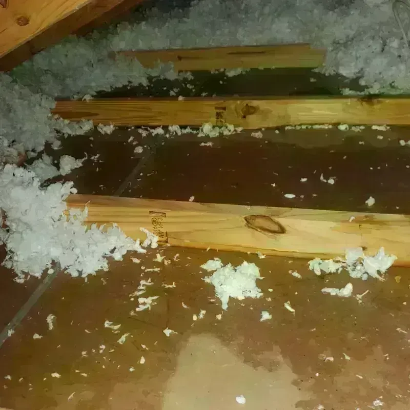 Attic Water Damage in Saranac, MI