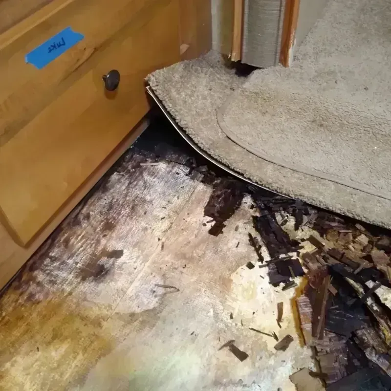 Best Wood Floor Water Damage Service in Saranac, MI